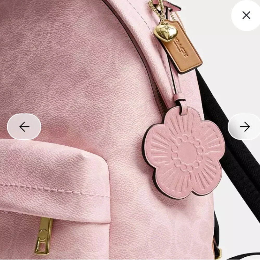 NWT Coach Taylor Small Backpack in Powder Pink with charms (Factory Wrapped) - Picture 11 of 11
